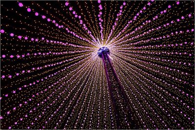 Low angle view of firework display