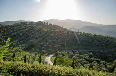 Scenic view of green landscape against sky