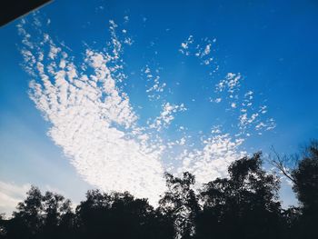 Low angle view of trees against blue sky