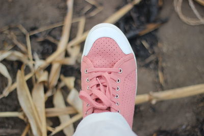 Low section of woman wearing pink shoes