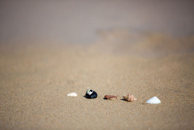 High angle view of cigarette on sand