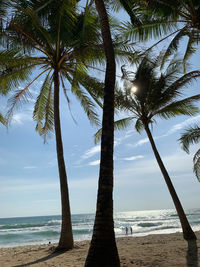 Coconut palm trees on beach against sky