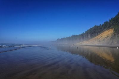 Calm water casts the glassy reflection of a hillside on the oregon coast.