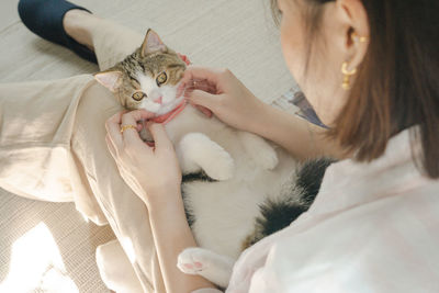 Asian woman play with white brown tabby scottish straight cat in her living room