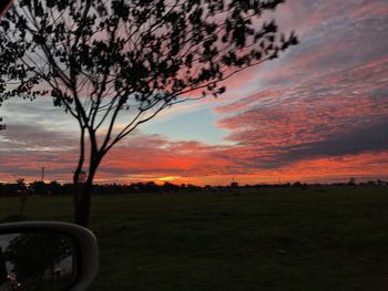 Scenic view of field against sky during sunset