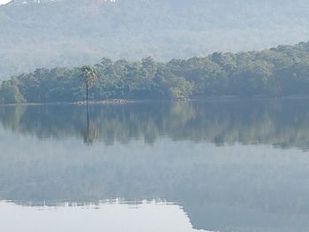 Reflection of trees in lake against sky