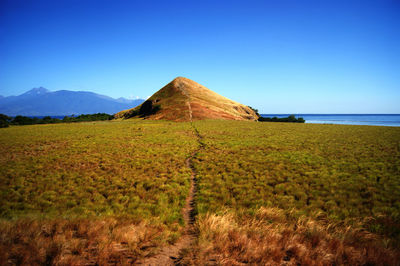 Scenic view of landscape against clear blue sky