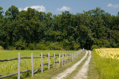 Road amidst field against sky