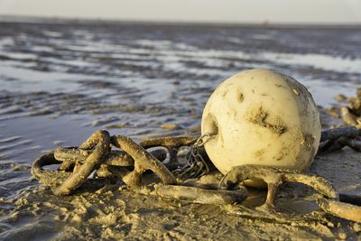 Close-up of water on beach