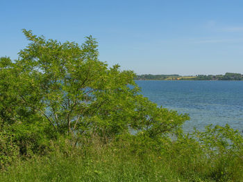 Scenic view of sea against clear blue sky