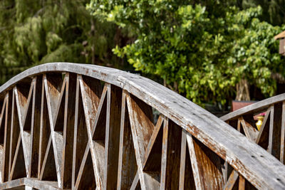 View of bridge in forest