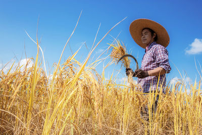 Low angle view of man holding crops standing on field against sky