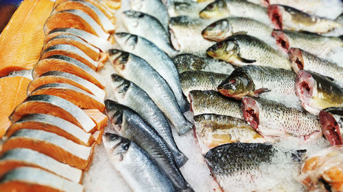 Close-up of fish for sale in market