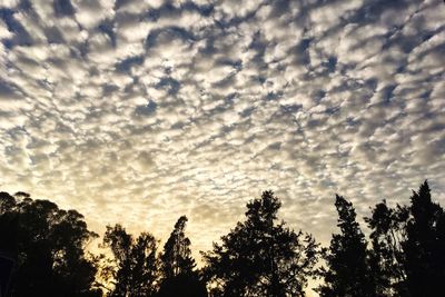 Silhouette trees against sky at sunset