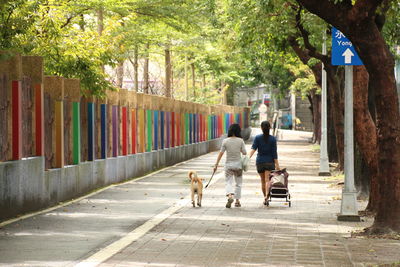Rear view of women walking with dog on footpath