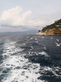 Seagull flying over sea against sky