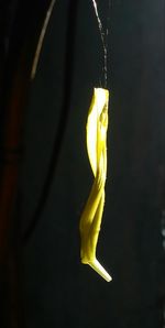 Close-up of yellow hanging over black background