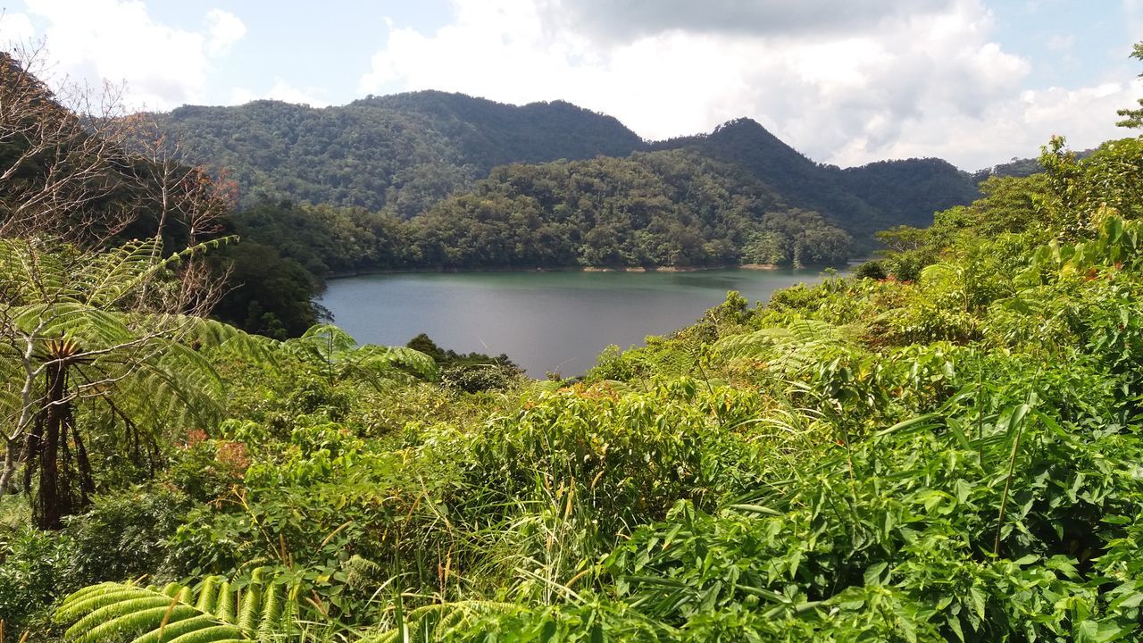 Twin lake, Balinsasayaw