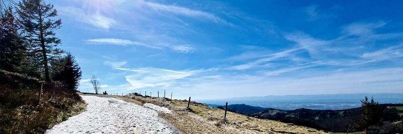 Panoramic view of road amidst trees against blue sky