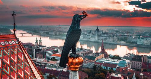 Statue amidst buildings in city during sunset