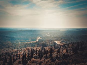 High angle view of forested land