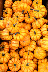 Full frame shot of pumpkins at market stall