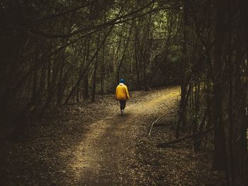 Rear view of personn walking in forest