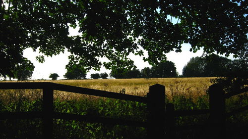 Fence on field