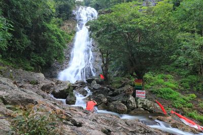 Scenic view of waterfall in forest