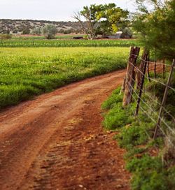 Dirt road in field