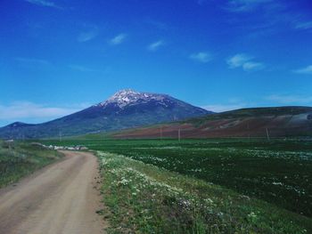 Country road leading towards mountains