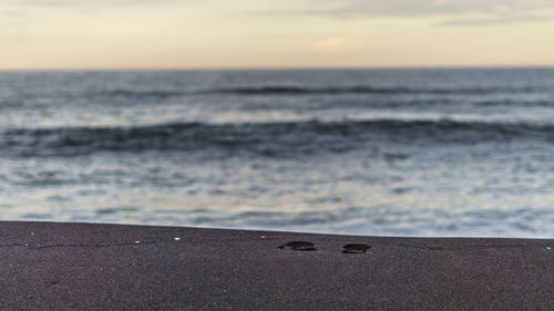 Close-up of sea shore at beach against sky