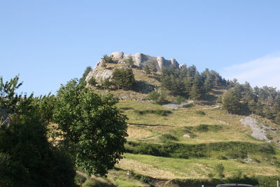 Scenic view of forest against clear sky