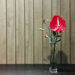 Anthurium in vase on table