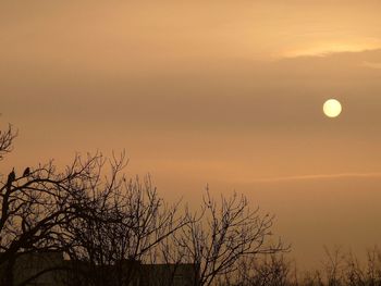 Silhouette tree against sky at sunset