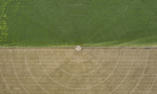 Scenic view of agricultural field