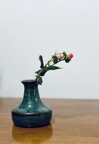 Close-up of potted plant on table