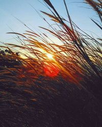 Scenic view of landscape against sky at sunset