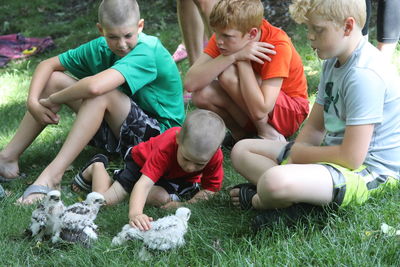 Group of people playing on grass