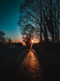 Empty road along bare trees at sunset