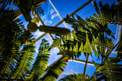 Photo of green leaf branch landscape with blue sky background