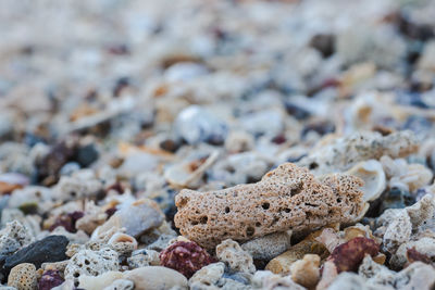 Close-up of stones on beach