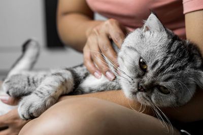 Midsection of woman with cat