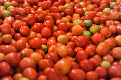 Full frame shot of tomatoes