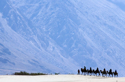 People on camels in desert against mountain