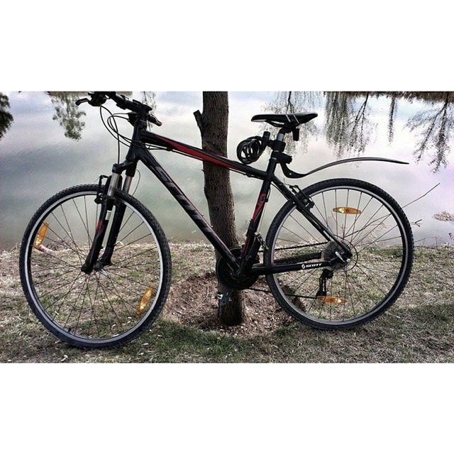 bicycle, transportation, mode of transport, land vehicle, stationary, parked, parking, auto post production filter, day, wheel, outdoors, no people, nature, tree, transfer print, sky, cycle, sunlight, leaning, plant