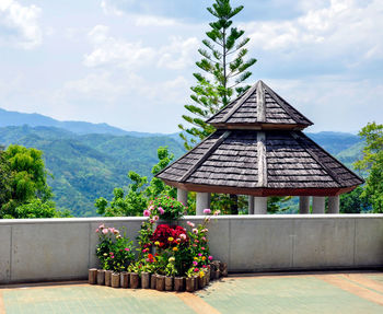 Potted plants by building against sky