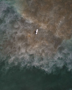High angle view of bird in sea