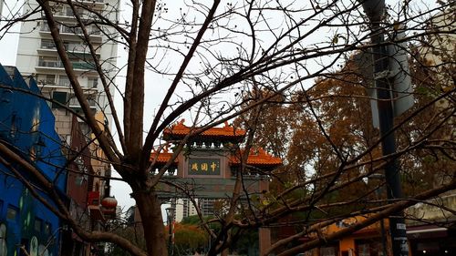 Low angle view of trees and buildings against sky