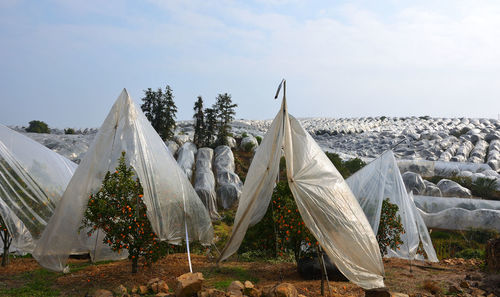 Clothes drying on clothesline on field against sky